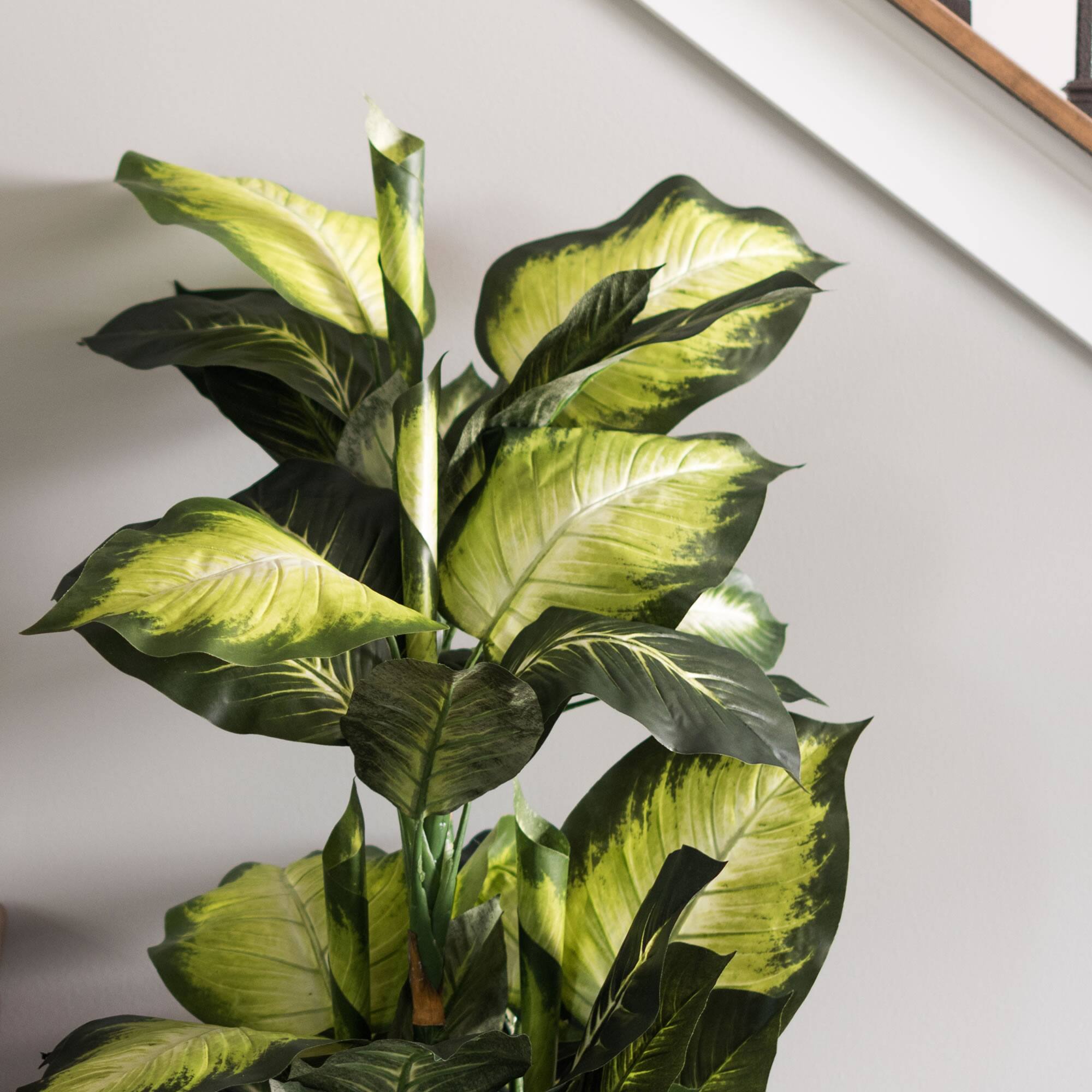 3.3ft. Potted Artificial Green & White Dumb Cane Tree